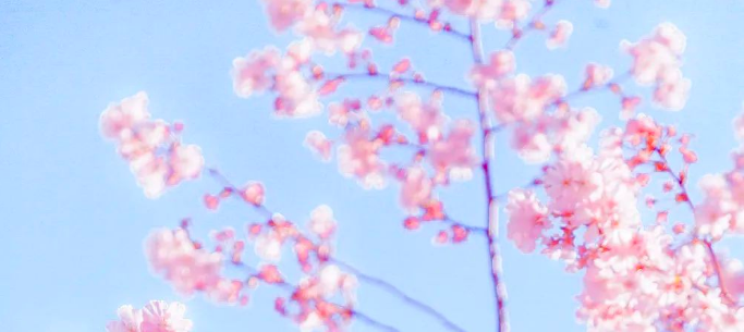 281651133635315858.png image.png