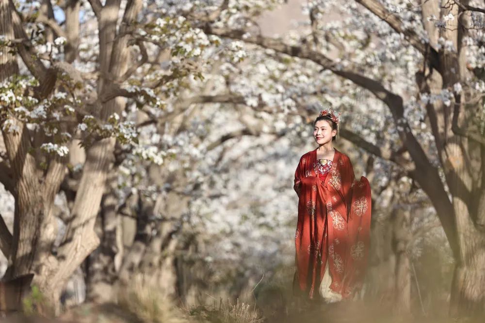 111660198519548239.jpeg 640 (18).jpg