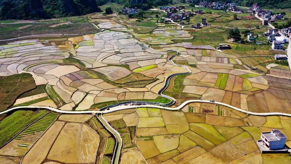 111660198761741767.jpeg 640 (24).jpg